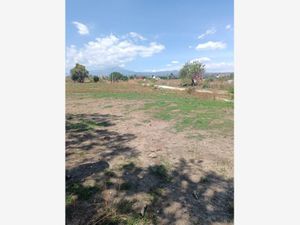 Terreno en Venta en Atlatlahucan Atlatlahucan