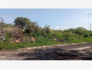 Terreno en Venta en Real de Oaxtepec Yautepec