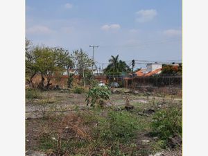 Terreno en Venta en Los Mangos Yautepec