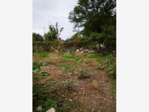 Terreno en Venta en Lazaro Cardenas Cuautla