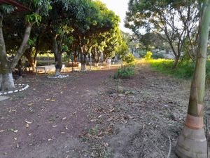 Terreno en Venta en Oaxtepec Centro Yautepec