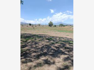 Terreno en Venta en Atlatlahucan Atlatlahucan