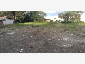 Terreno en Venta en Cuautlancingo Cuautlancingo