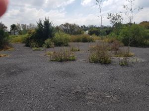 Terreno en Renta en Las Peritas Xochimilco