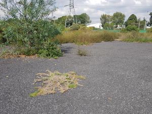 Terreno en Renta en Las Peritas Xochimilco