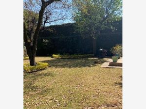 Casa en Renta en Jardines del Pedregal Álvaro Obregón