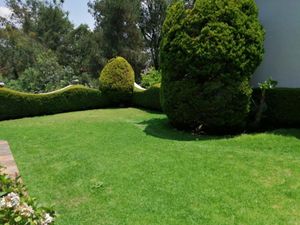 Casa en Renta en San Jeronimo Lidice La Magdalena Contreras