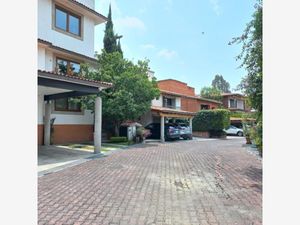 Casa en Renta en La Concepcion La Magdalena Contreras