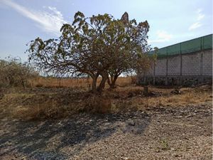 Terreno en Venta en Lomas de San Juan Texcalpan Atlatlahucan