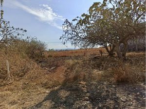 Terreno en Venta en Lomas de San Juan Texcalpan Atlatlahucan