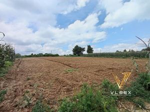 Terreno en Venta en San Diego la Huerta Calimaya