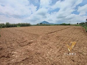 Terreno en Venta en San Diego la Huerta Calimaya