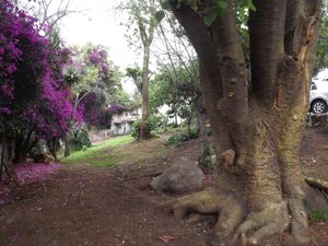 Terreno en Venta en Santa Teresa La Magdalena Contreras