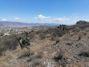 Terreno en Venta en Pueblo Nuevo Pachuca de Soto
