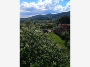 Terreno en Venta en La Estanzuela Mineral del Chico