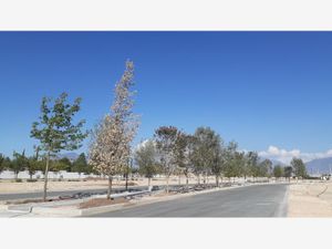 Terreno en Venta en Punta Bosque Saltillo