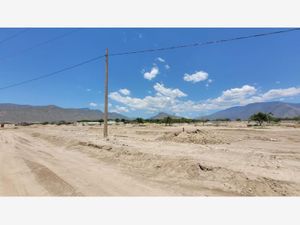 Terreno en Venta en La Joya Arteaga