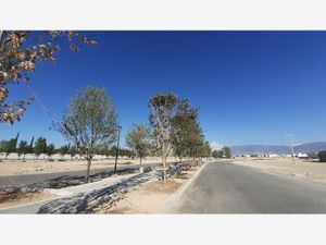 Terreno en Venta en Punta Bosque Saltillo