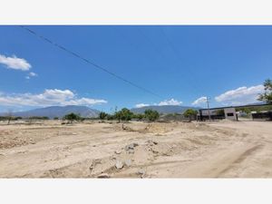 Terreno en Venta en La Joya Arteaga