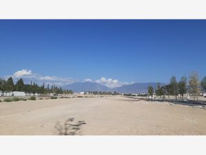 Terreno en Venta en Punta Bosque Saltillo