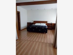 Departamento en Renta en Zona Esmeralda Puebla