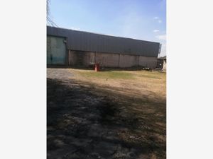 Bodega en Renta en San Pedro Cholula Ocoyoacac