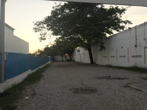 Terreno en Renta en Lomas del Chairel Tampico