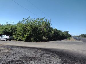 Terreno en Venta en Tampico Alto Centro Tampico Alto