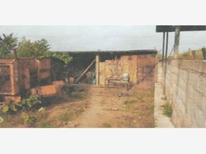 Finca/Rancho en Venta en Punta de Bustos Tampico Alto