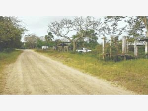 Finca/Rancho en Venta en Punta de Bustos Tampico Alto