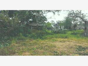 Finca/Rancho en Venta en Punta de Bustos Tampico Alto