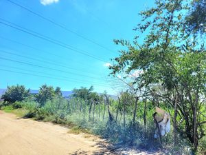 Terreno en Venta en Martin A Martinez Altamira