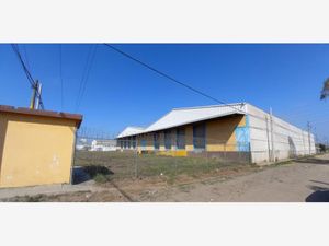 Bodega en Renta en Moralillo Pánuco