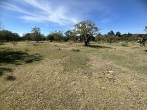 Terreno en Venta en Independencia Tepeojuma