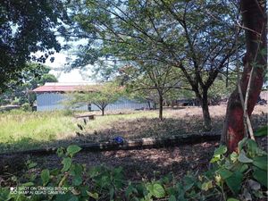 Terreno en Venta en Peñuela Amatlán de los Reyes