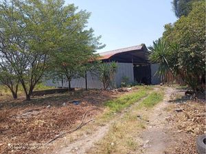 Terreno en Venta en Peñuela Amatlán de los Reyes