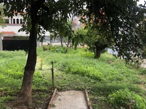 Terreno en Venta en Oaxaca Centro Oaxaca de Juárez