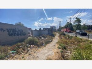 Terreno en Renta en Santa Elena San Mateo Atenco