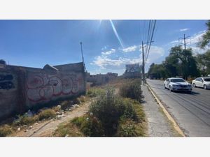 Terreno en Renta en Santa Elena San Mateo Atenco