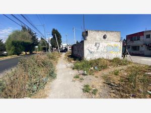 Terreno en Renta en Santa Elena San Mateo Atenco