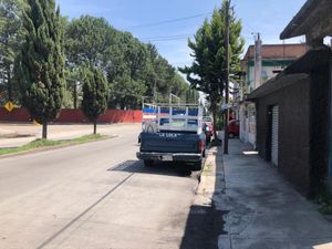 Terreno en Renta en El Carmen Totoltepec Toluca
