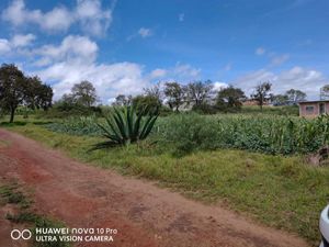 Terreno en Venta en Tenextla Chignahuapan