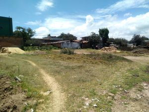 Terreno en Venta en Teotlalpan Chignahuapan