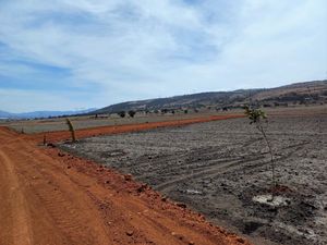 Terreno en Venta en Lázaro Cárdenas (Tzitla) Chignahuapan