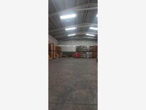 Bodega en Venta en Lomas de Tarimoya Veracruz