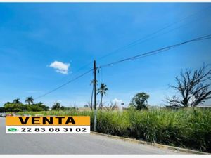 Terreno en Venta en Bruno Pagliai Veracruz