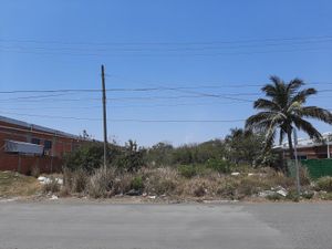 Terreno en Venta en Bruno Pagliai Veracruz