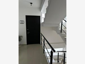 Departamento en Renta en Residencial Monte Magno Xalapa