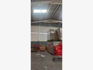 Bodega en Venta en Lomas de Tarimoya Veracruz