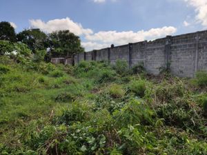 Terreno en Venta en Enrique C Rebsamen Veracruz